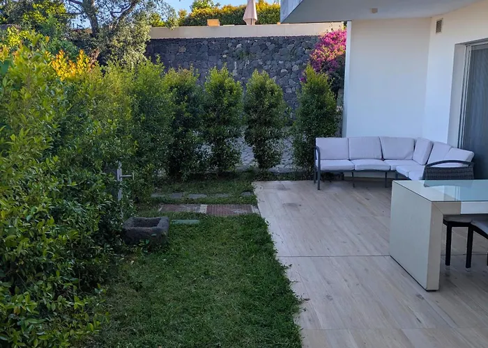 Alysa - Wellness & *